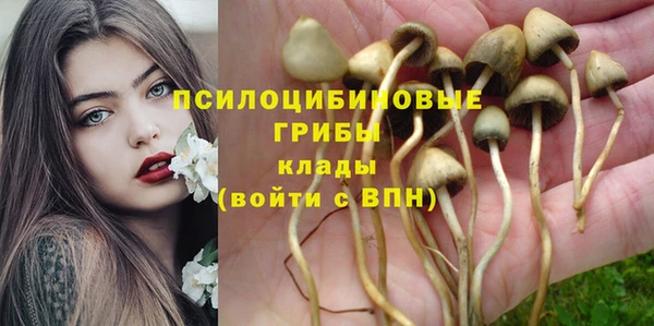 экстази Алексин