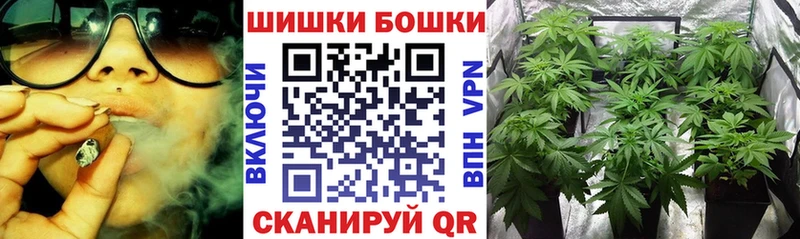 Каннабис ГИДРОПОН  купить наркоту  Анжеро-Судженск 
